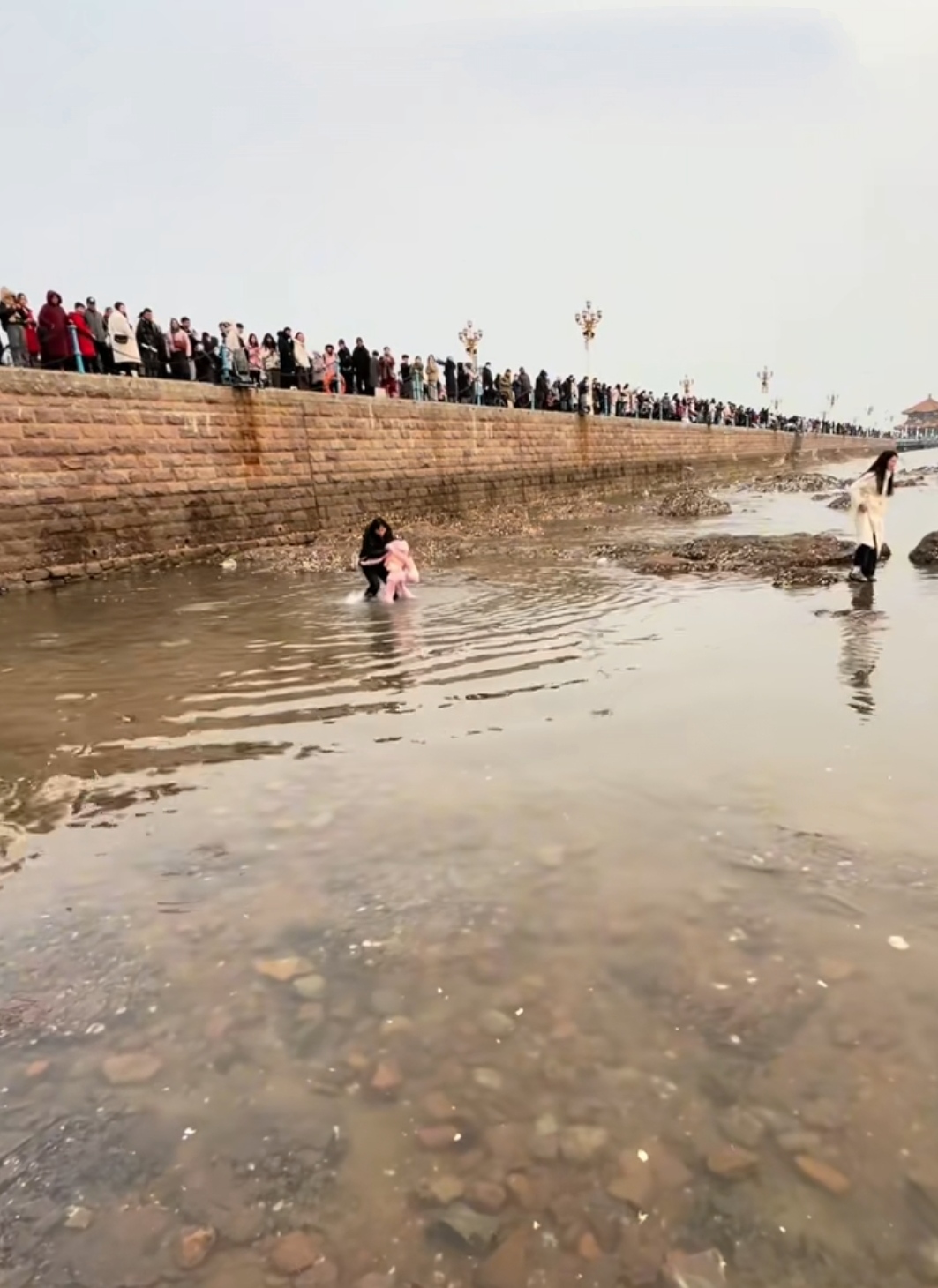 包含爆冷！游泳强队意外出局震惊全场的词条