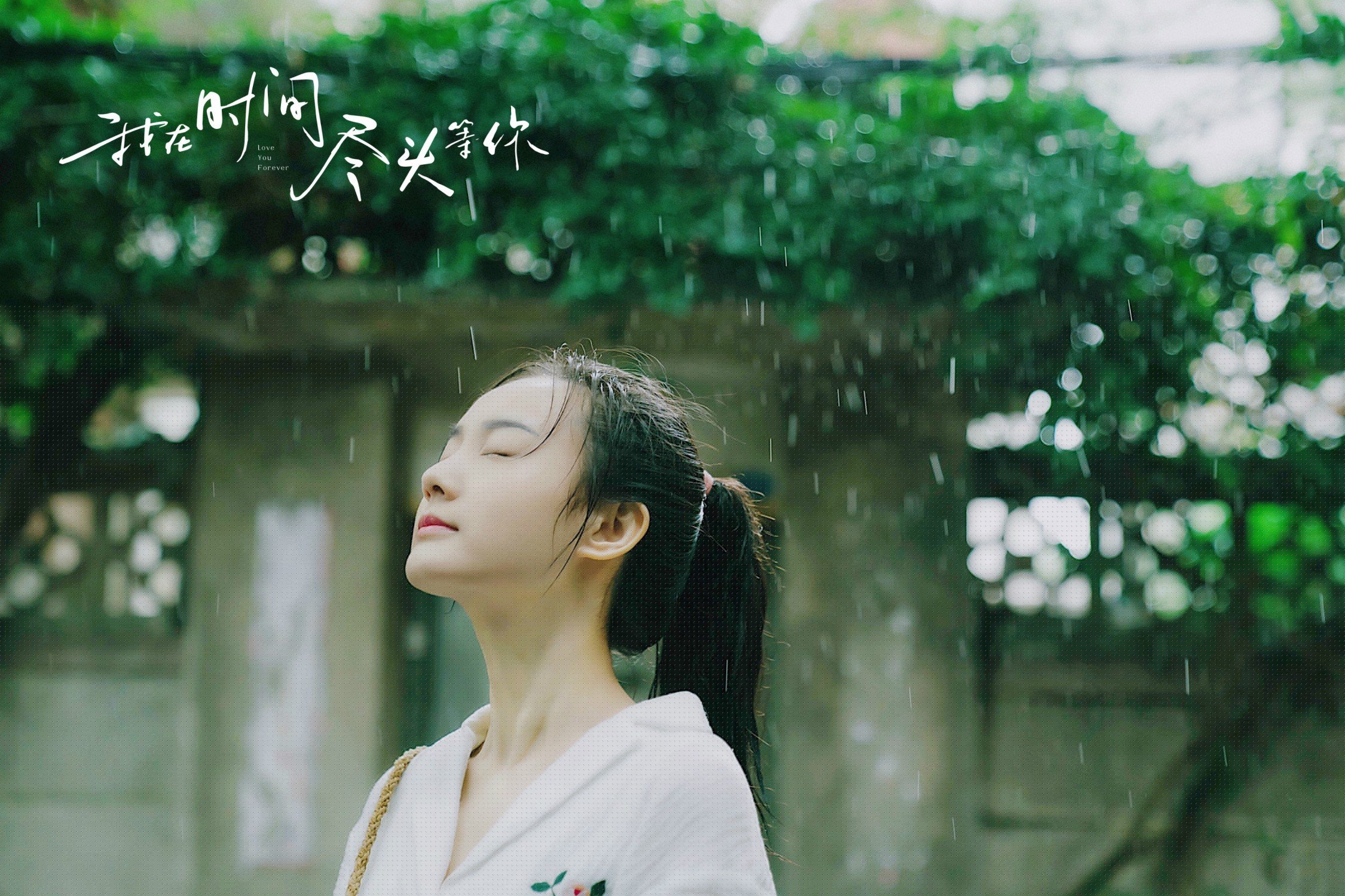 酋长球场的亚洲之光，惠灵顿的绝杀闪电，同一夜晚的足球礼赞