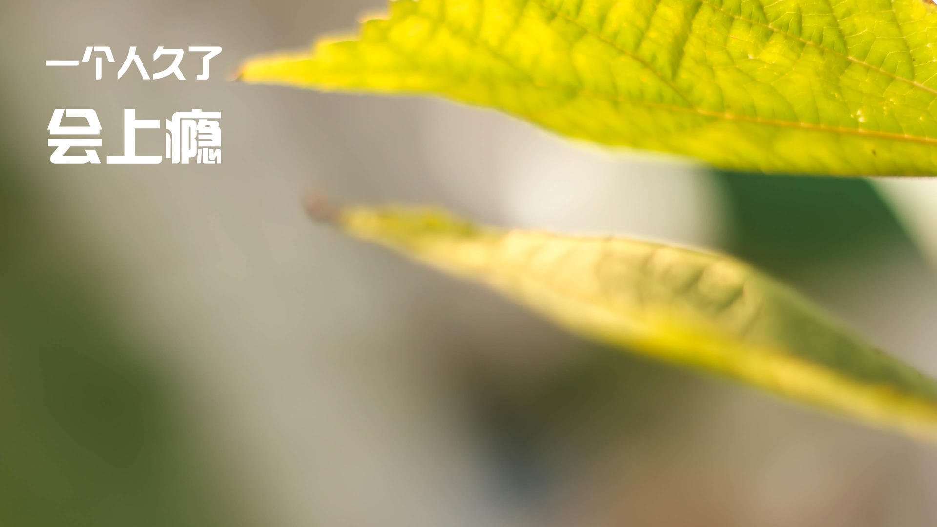 孤胆英雄！穆勒第93分钟一剑封喉，国际米兰洲际杯绝杀墨西哥