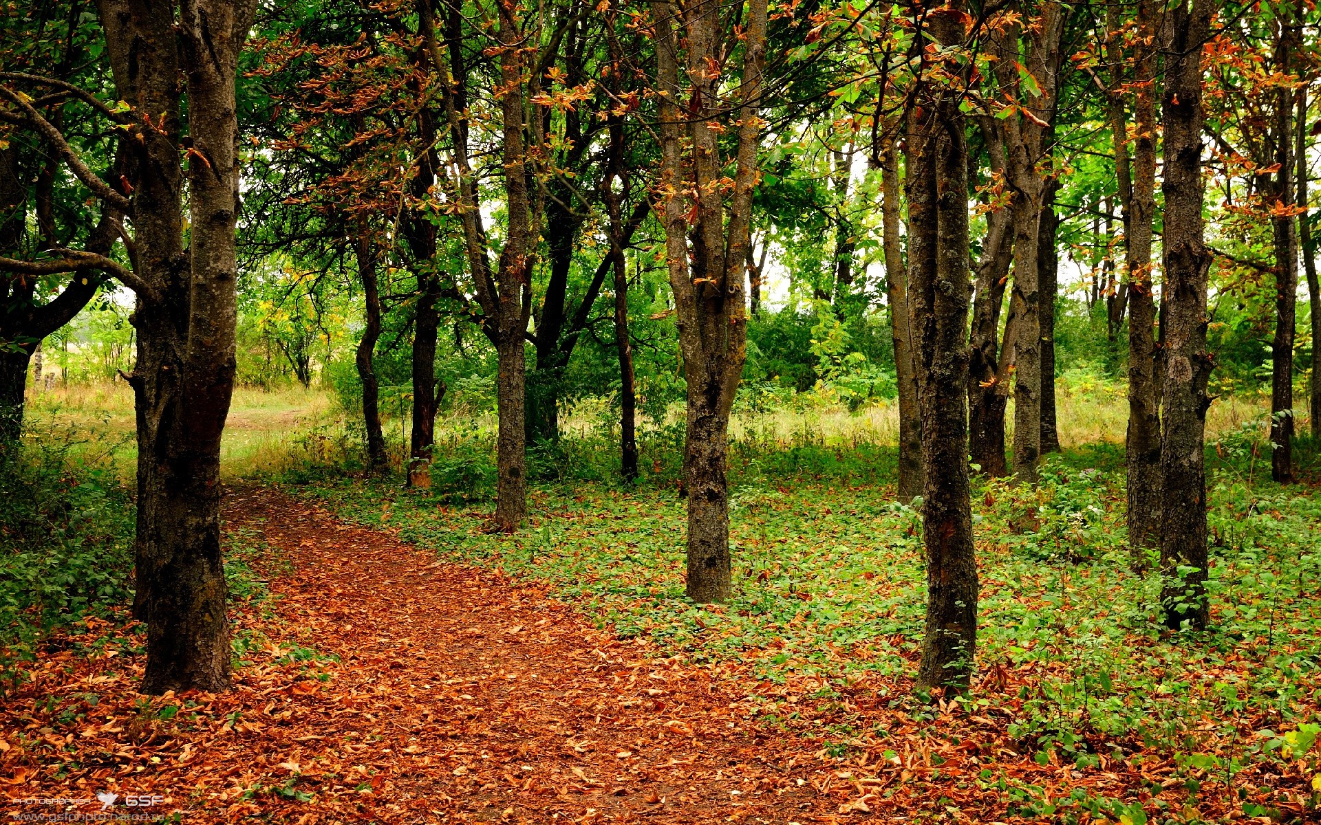 白衣军团的东征，穆勒双响炮击碎乌克兰铁壁