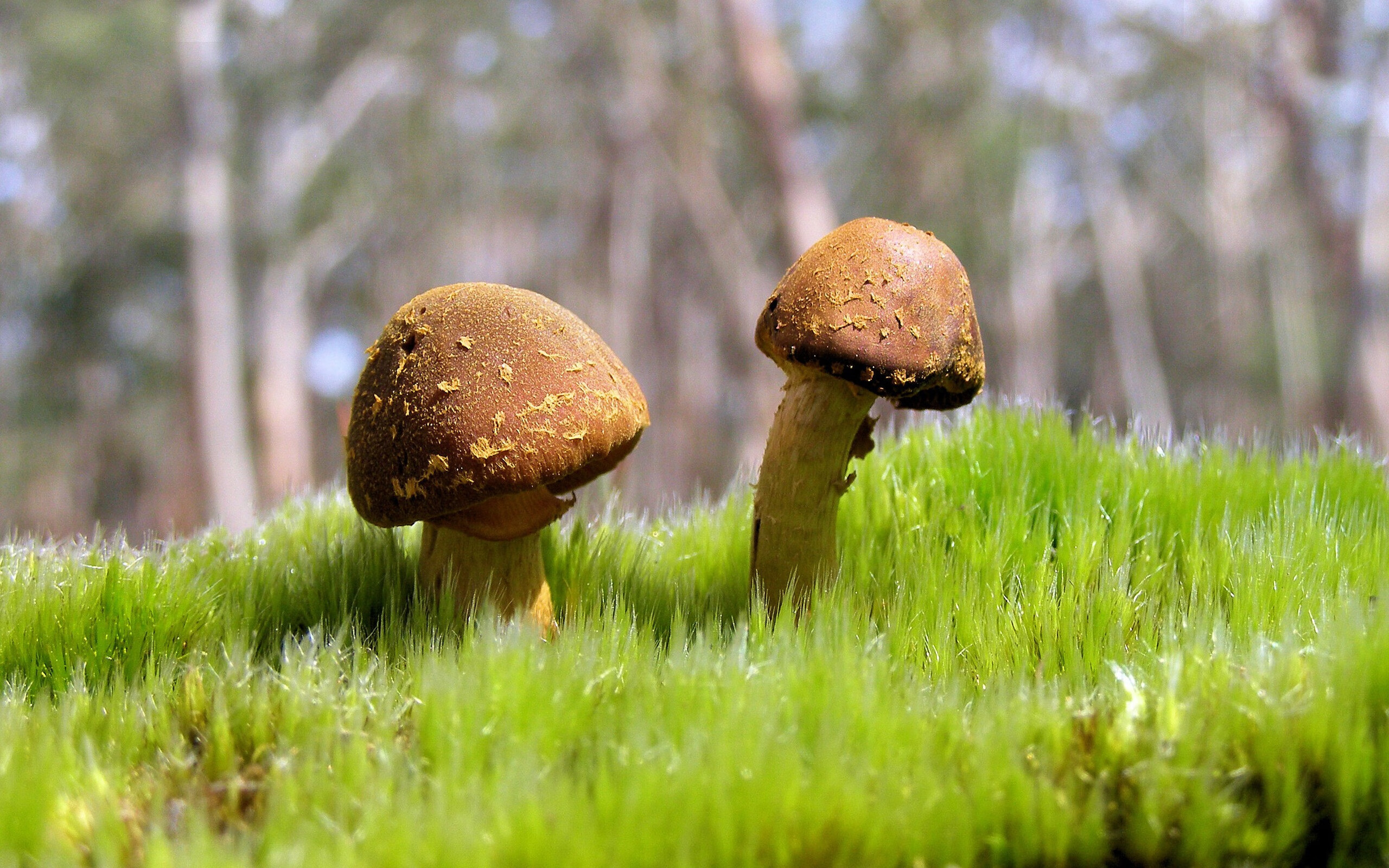 跨时空对决，贝恩准三双+窒息防守，山西险胜76人于平行宇宙