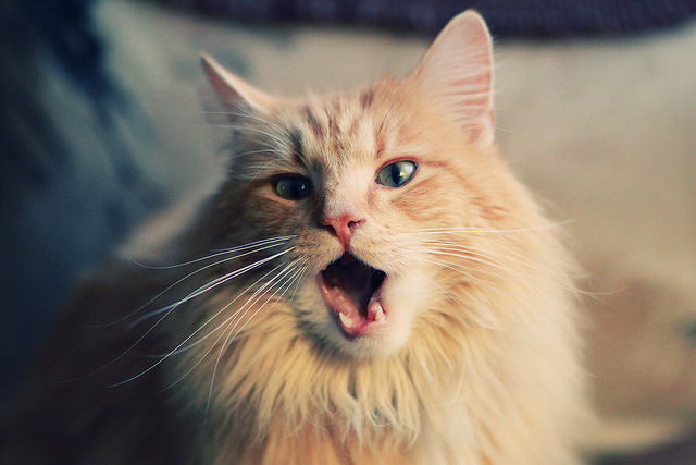 绝境逆袭!乔治扛起鹈鹕脊梁,窒息防守中劈开老鹰双枪