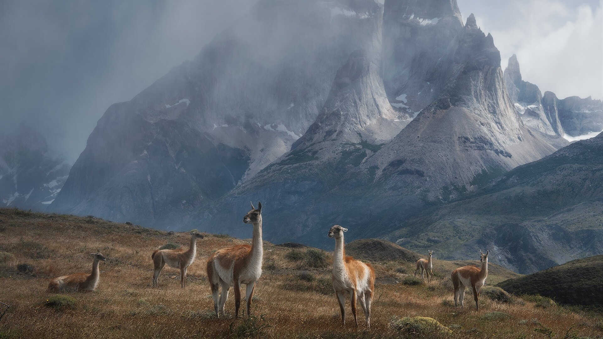 平行世界的篮球奇景,新疆狂胜NBA队,戈贝尔统治意甲焦点战