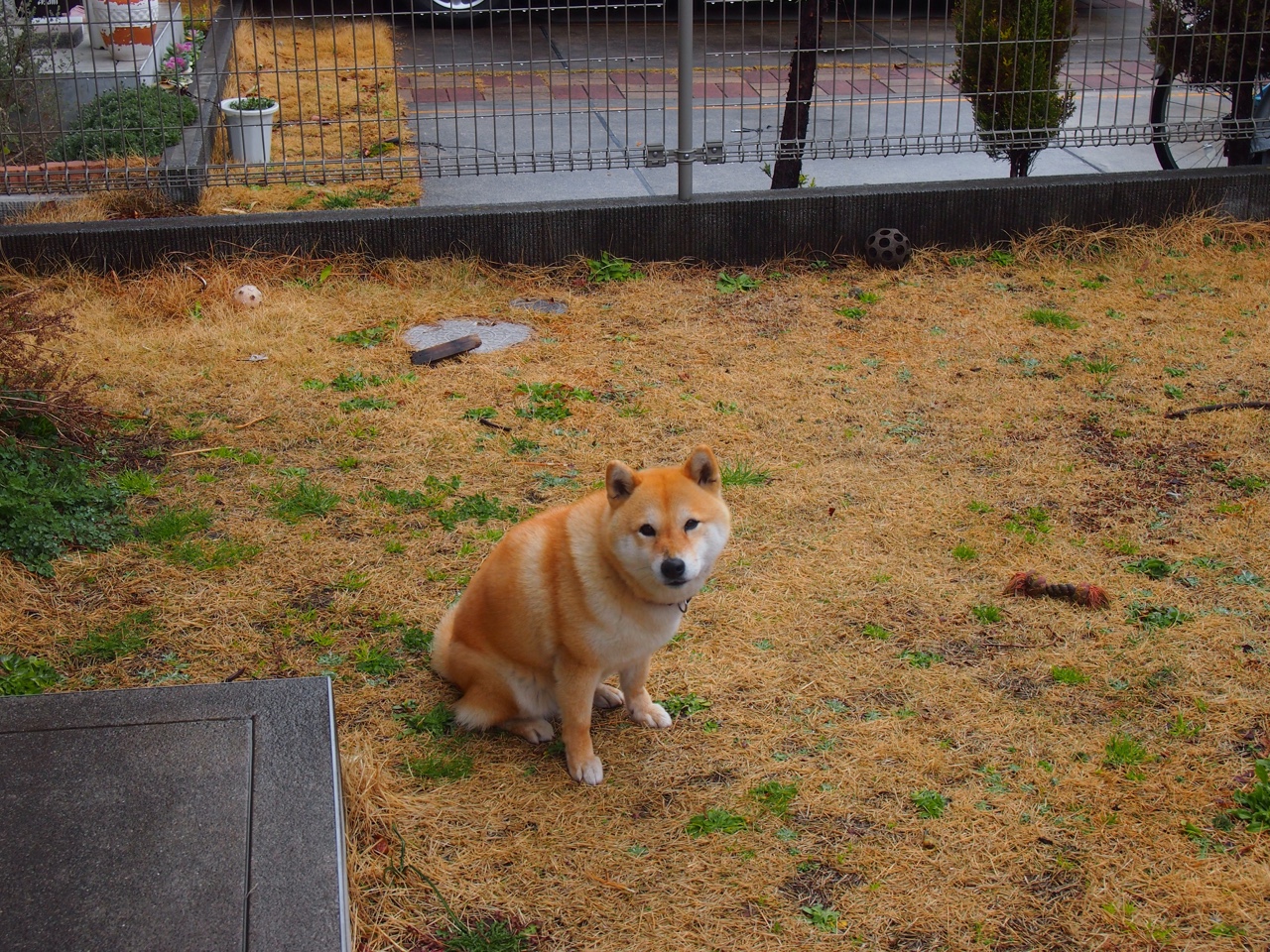 从天才到领袖，文班亚马的东决正名之夜