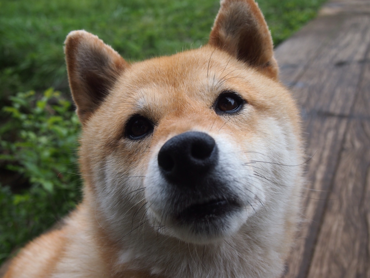 夜火与晨星，那不勒斯鏖战加时破苏格兰铁壁，佩德里亚平宁首秀献大师级接管