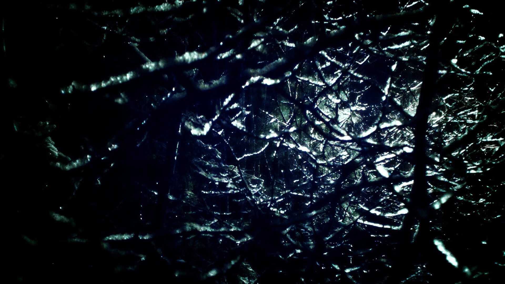 开云体育平台APP-引擎咆哮与篮筐轰鸣，当小贾伦将篮球场化为他的专属赛道