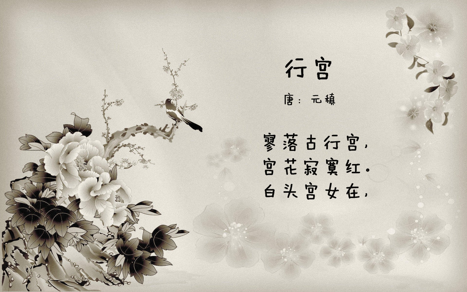 南美孤星的加冕礼，巴雷拉与一场改写D组命运的雨战